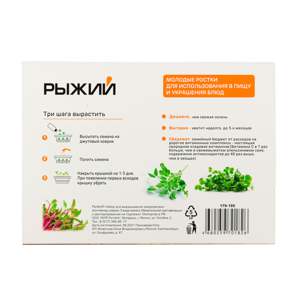 РЫЖИЙ Набор для выращивания микрозелени (контейнер, коврик, 3 вида семян) - #5