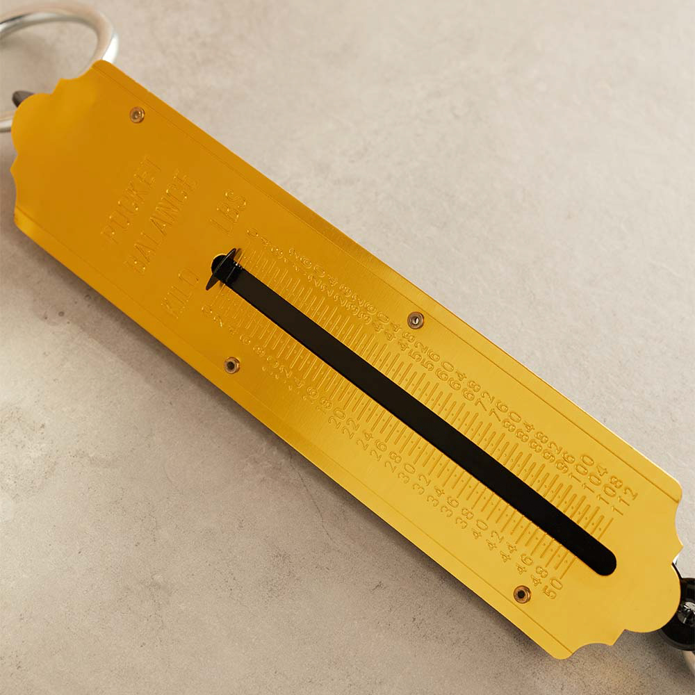 Безмен вертикальный, 50кг, металл - #8