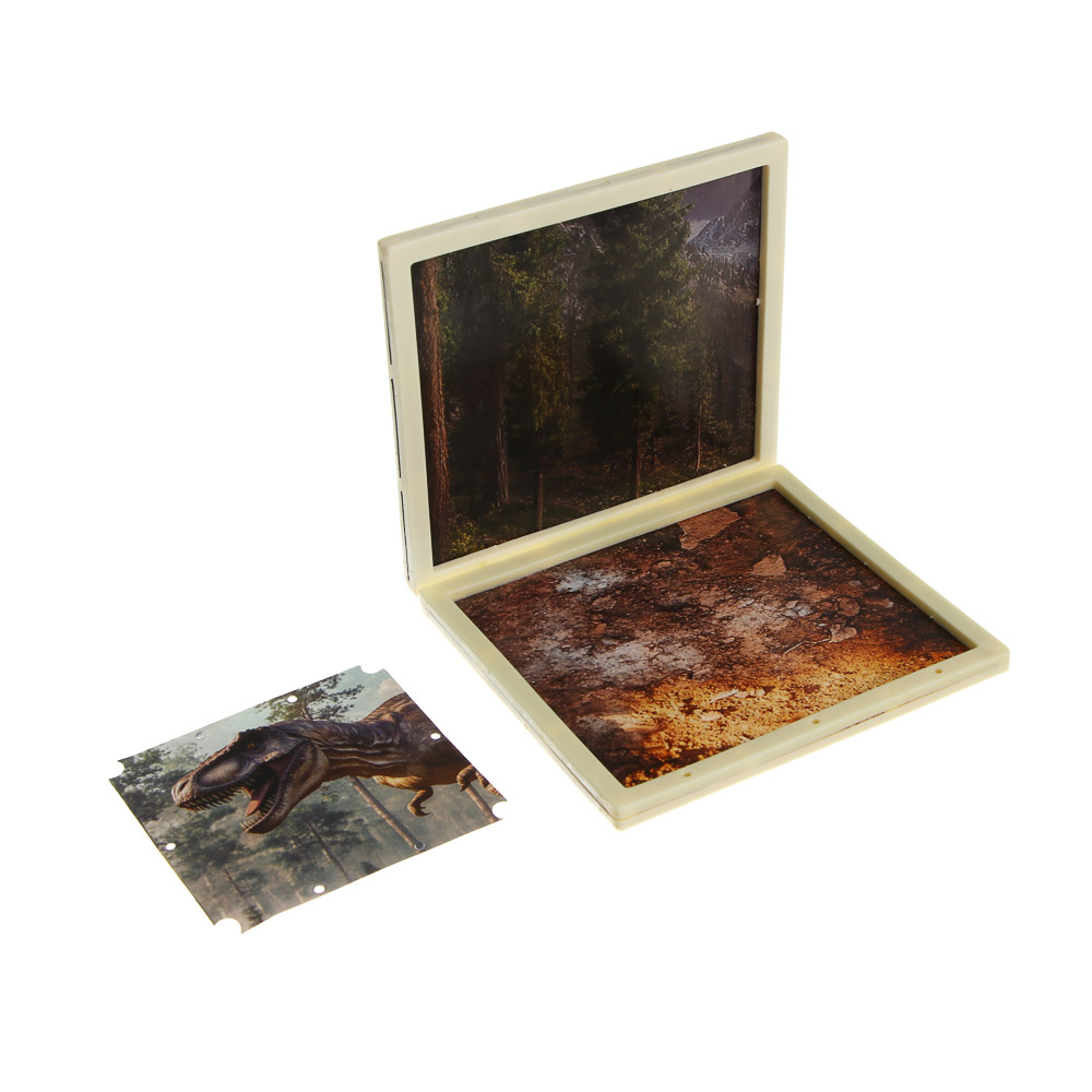 ХОББИХИТ Набор для творчества "Скелет Динозавра" 16х5х16см, 3 дизайна - #8