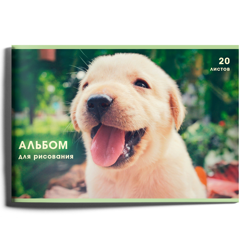Альбом для рисования A4 20л., офсет 110г/м2, скрепка, в ассортименте - #23