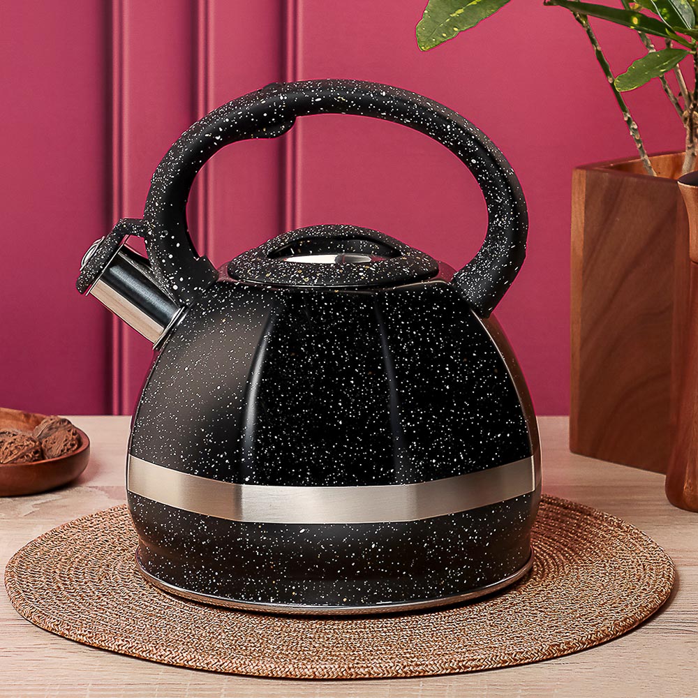 VETTA Чайник стальной 2,9л "Мартино", индукция - #13