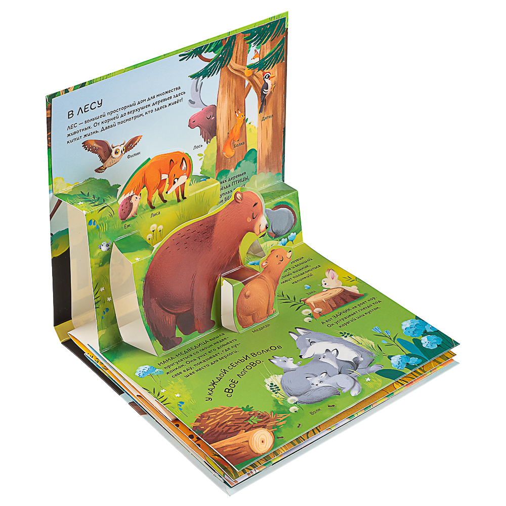 МАЛАМАЛАМА Книжка энциклопедия "Почемучка", картон, 20,8х17,4см, 10 стр., 5 дизайнов - #10