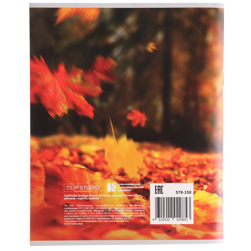 ClipStudio Тетрадь общая, 96 листов, в клетку, БЕЛЫЕ ЛИСТЫ, обложка - картон, скрепка, 4 диз - #5