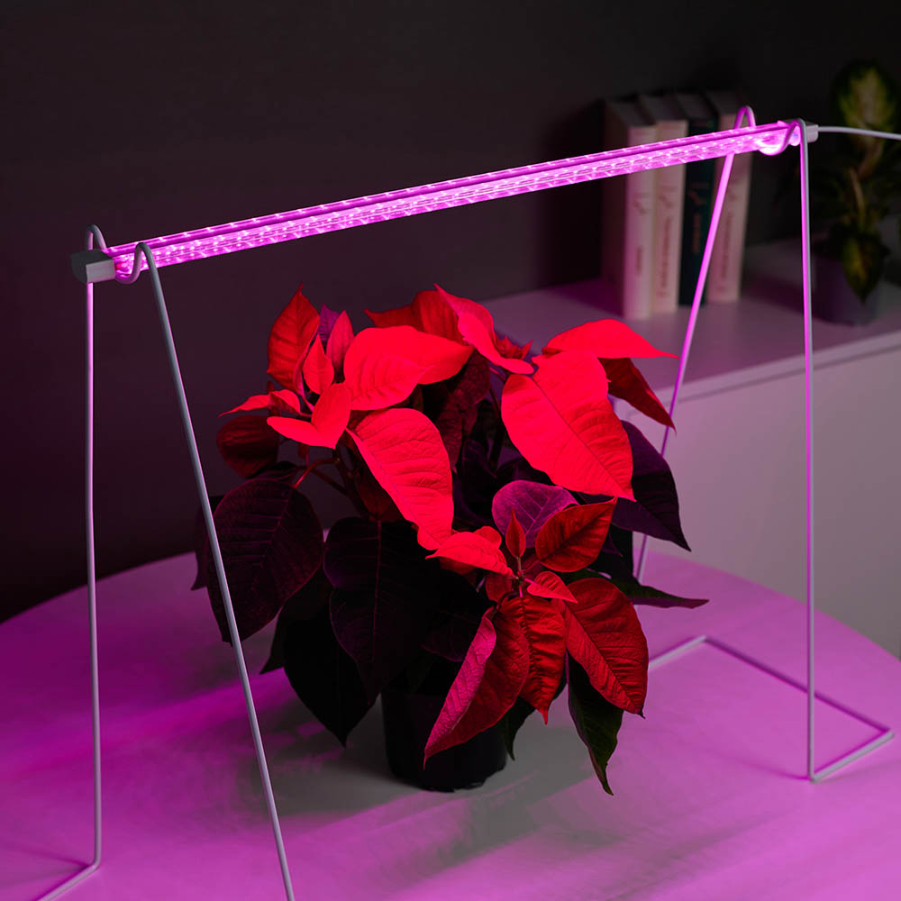 INBLOOM Светильник светодиодный для растений, 32LED, фиолетовый, 54х2.4х1.3см, 8Вт, 220В, ABS - #5