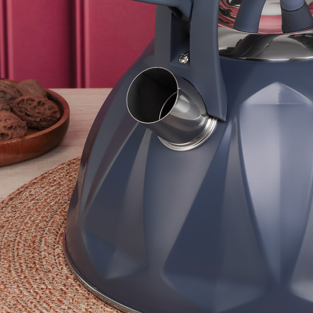 SATOSHI Чайник стальной 2,7л "Ривьера", индукция - #11