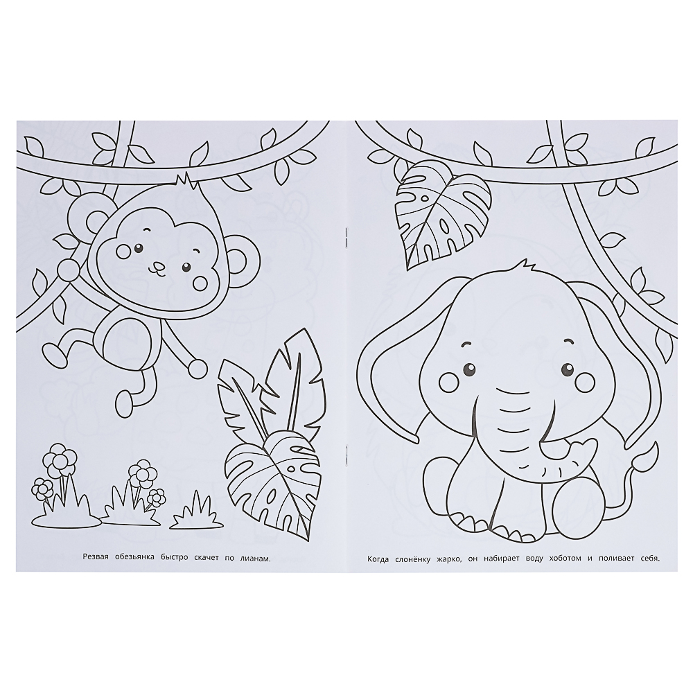 Раскраска 21,4х29 см, бумага, 16 стр., 5 дизайнов - #10