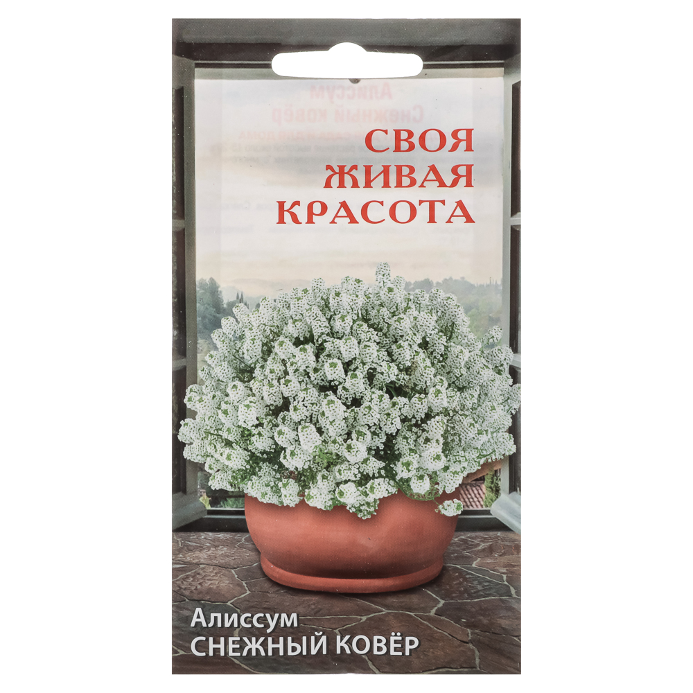 Семена Алиссум Снежный ковер до 15см 0,1гр купить с выгодой в Галамарт