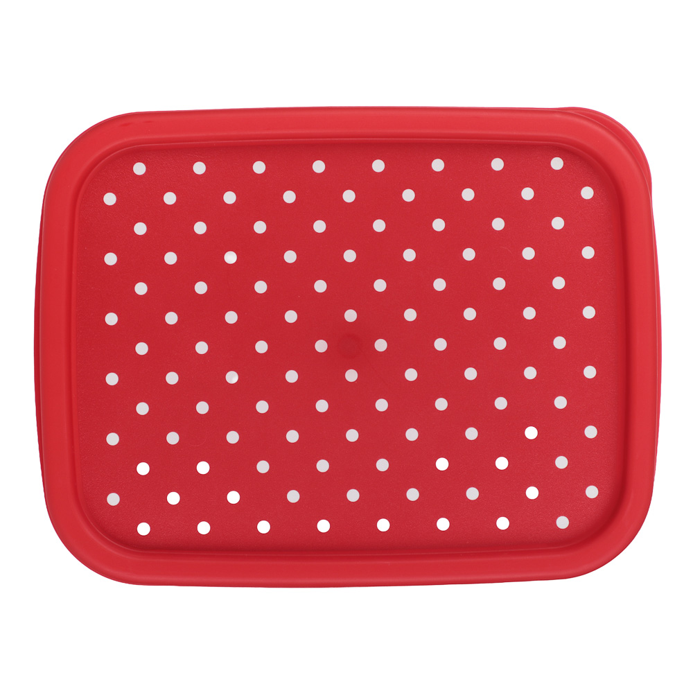 Пасха Контейнер для продуктов прямоугольный 0,85л, пластик, 2 дизайна - #8