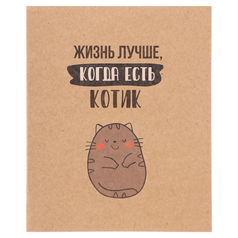 ClipStudio Тетрадь 48л. в клетку, офсет, обл. мел.картон, скрепка, крафт, 4 диз. - #14