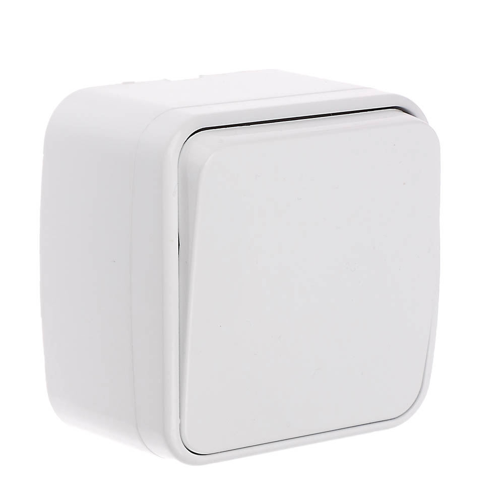 Выключатель одноклавишный открытой установки Intro Polo 10A-250В, ОУ, 3-101-01, белый - #1