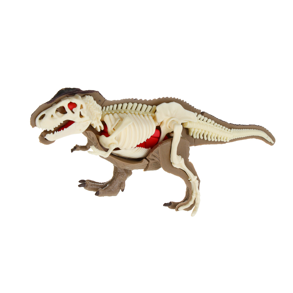 ХОББИХИТ Набор для творчества "Скелет Динозавра" 16х5х16см, 3 дизайна - #11