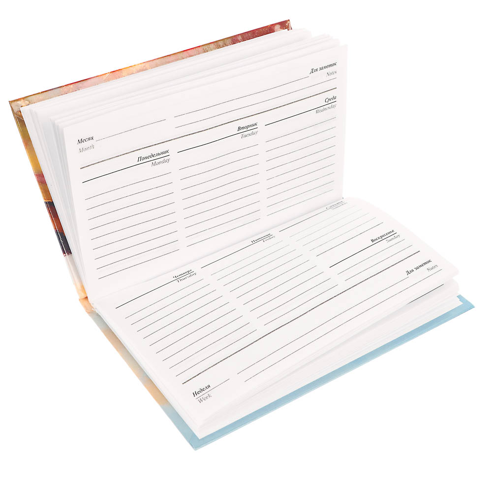 Ежедневник-планинг недатированный ClipStudio, формат А6, 64 листа, обложка 7БЦ - #4