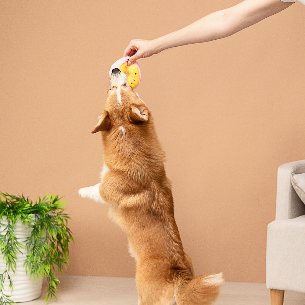 VETTA Игрушка для домашних животных, ПЭ, 11х4 см - #10