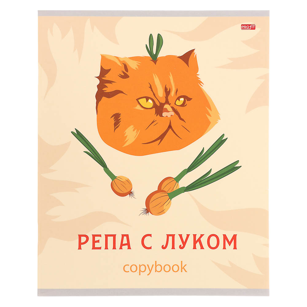 Тетрадь 48л. в клетку, офсет, обл. мел.картон, скрепка, ВД-лак, микс - #8