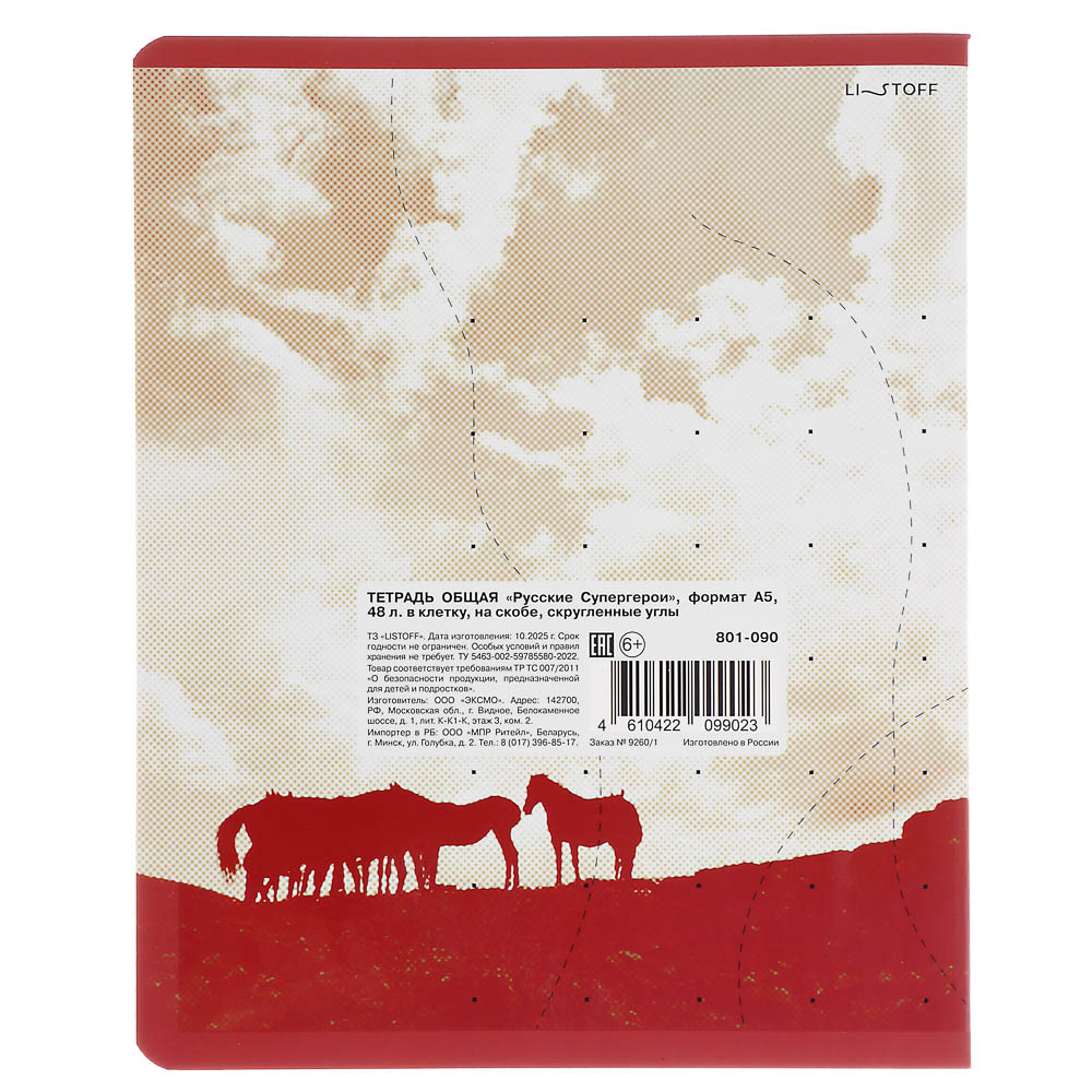 Тетрадь общая Русские Супергерои, формат А5, 48л. в клетку, на скобе, скругленные углы, в ассортим. - #5