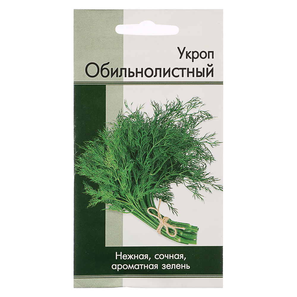 Семена Укроп Обильнолистый - #1
