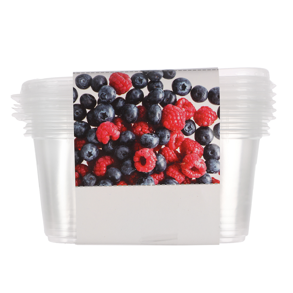 Набор контейнер 250 мл (108*82мм) с крышкой, 5 штук с ОБЕЧАЙКОЙ - #5