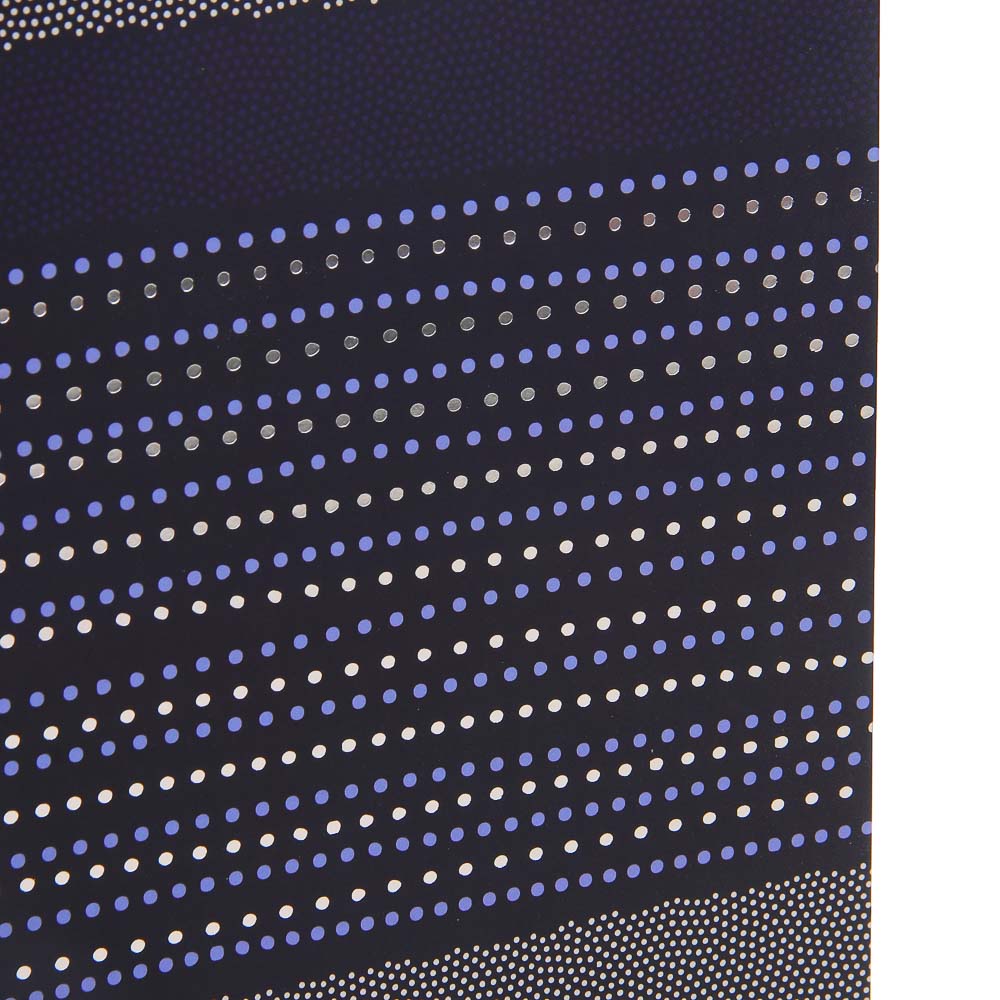 Пакет тм Fntastic подарочный, вскч бум., L 26x32x10см, полосы, 4 дизайна - #4