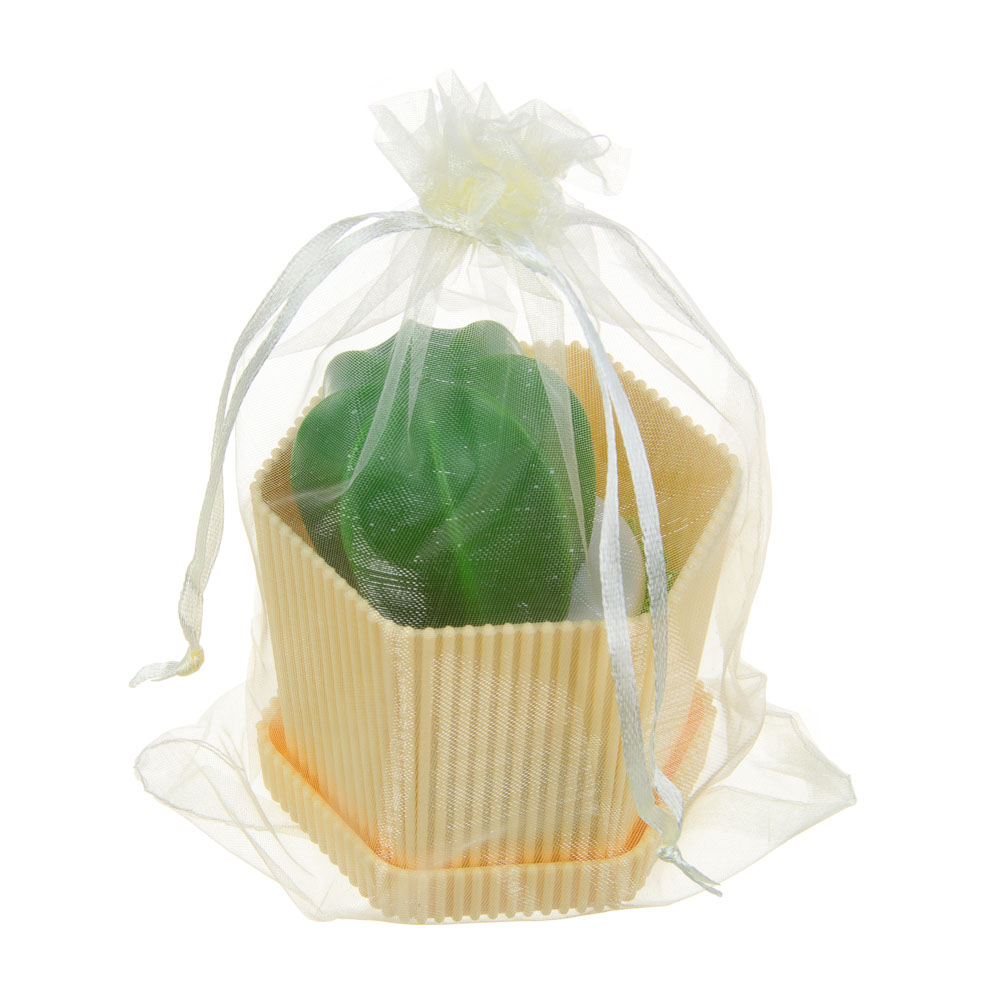 VETTA Щетка-кактус, полипропилен, пластик 8,5х10 см - #8