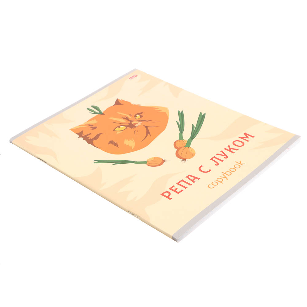 Тетрадь 48л. в клетку, офсет, обл. мел.картон, скрепка, ВД-лак, микс - #9