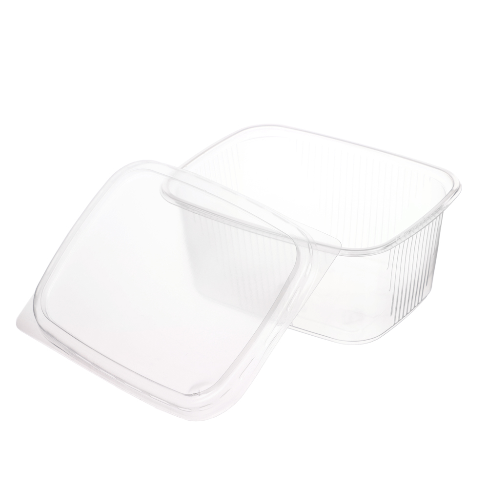 Набор контейнер 250 мл (108*82мм) с крышкой, 5 штук с ОБЕЧАЙКОЙ - #2