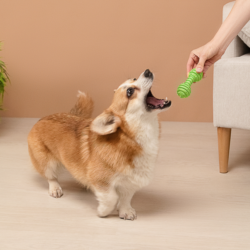 VETTA Игрушка для домашних животных, ТПР, 12х4 см, кость - #9