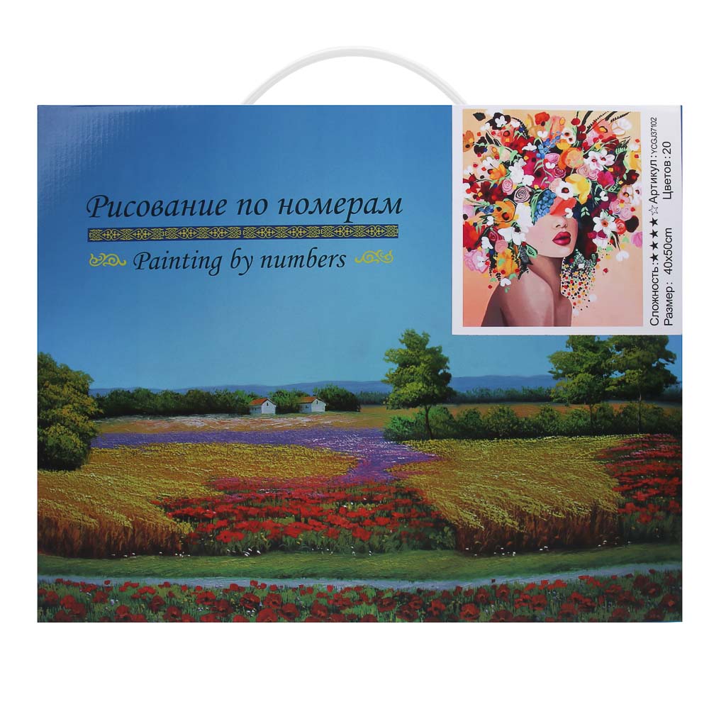 ХОББИХИТ Картина по номерам, комплект (основа, акриловые краски, кисть), 50х40см, 6 дизайнов - #1
