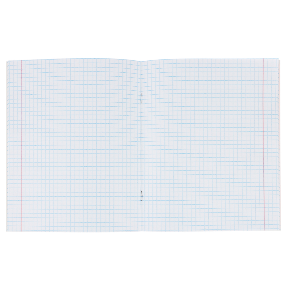 BY Русские Супергерои Тетрадь шк. 24л. "Василиса", в клетку, офсет, обл.пластик, скрепка, 4диз - #14