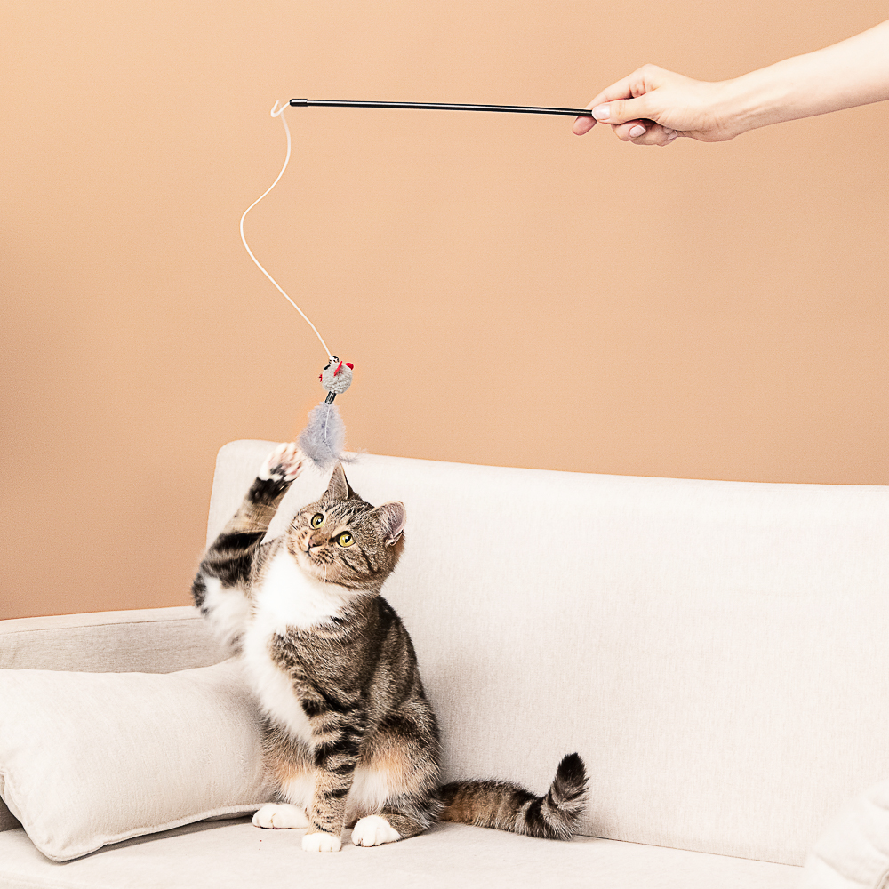 VETTA Игрушка - дразнилка, для домашних животных, полипропилен, полиэстер, АБС-пластик,  35 см - #10