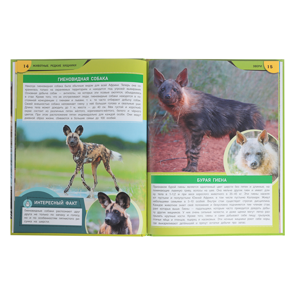 УМКА Книжка "Энциклопедия", Твердый переплет, 19,7х25,5см, 48 стр., 5 дизайнов - #16