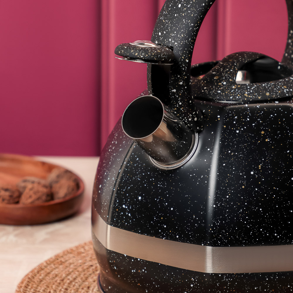 VETTA Чайник стальной 2,9л "Мартино", индукция - #15