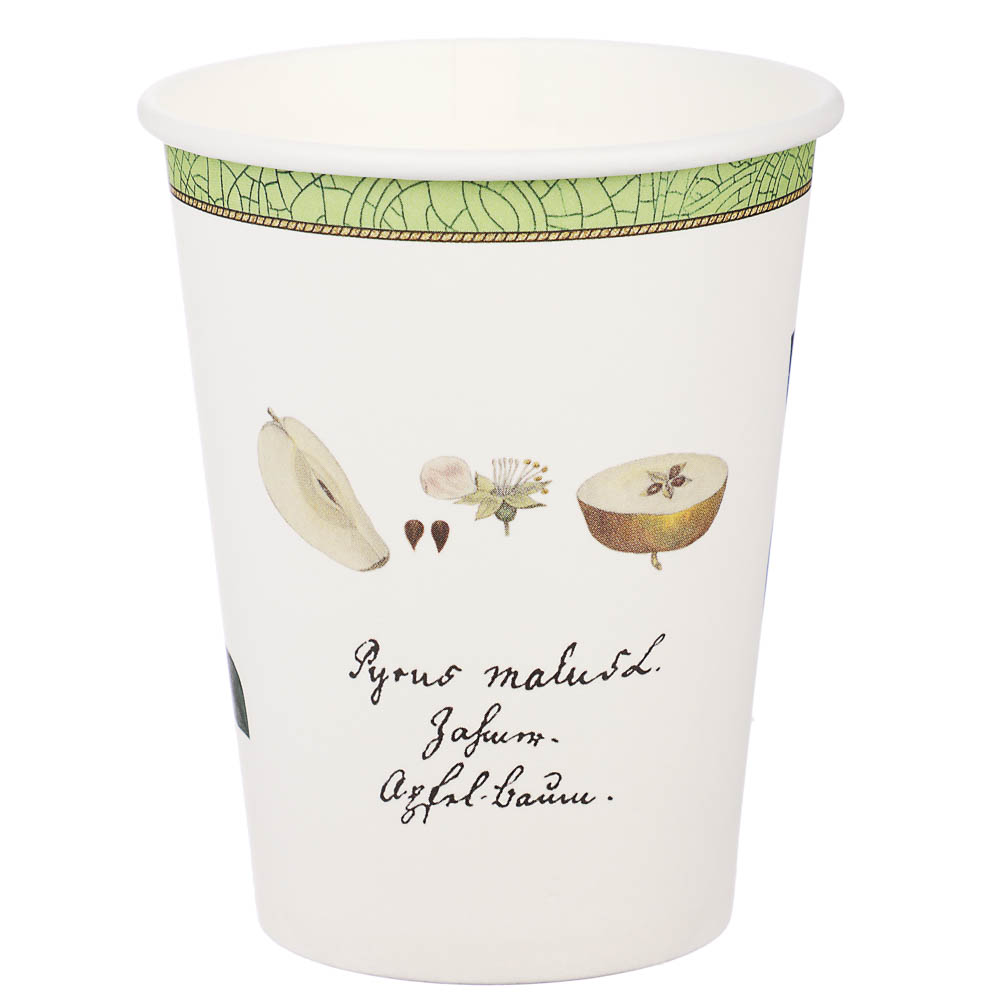 Набор бумажных одноразовых стаканов 6 шт, 250 мл, диз. 1 - #3