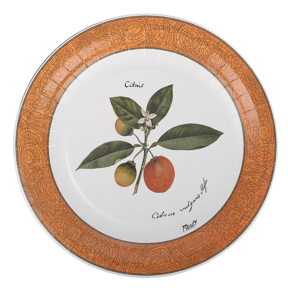 Набор бумажных одноразовых тарелок Прованс 6 шт, 18 см в ассортименте - #8