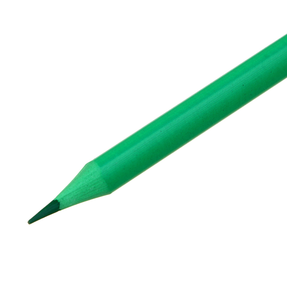 FLOMIK Набор цветных пластиковых стираемых карандашей, ластик, прокрашенный трехгр. корпус, 12 цв. - #5