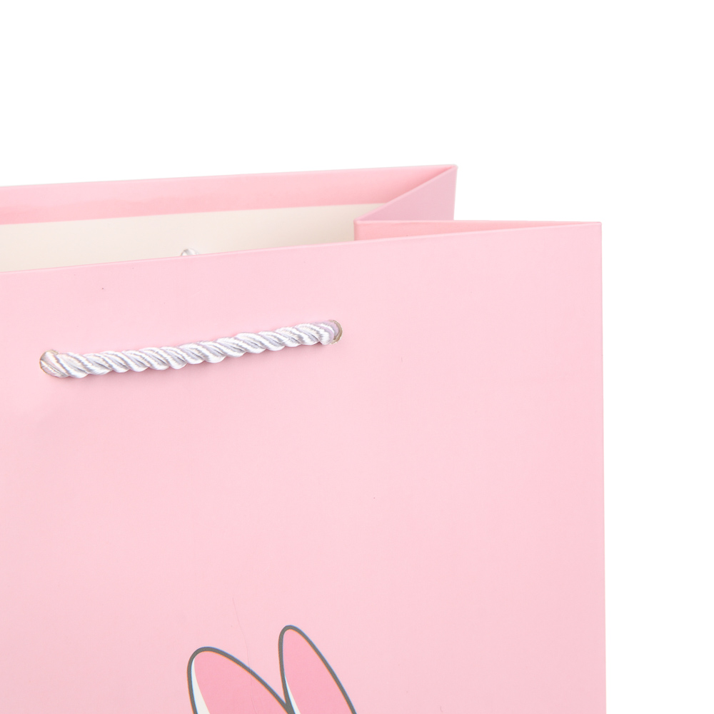 Пакет подарочный тм Fntastic M 23x17,7x10см, бумага, 4 дизайна - #4