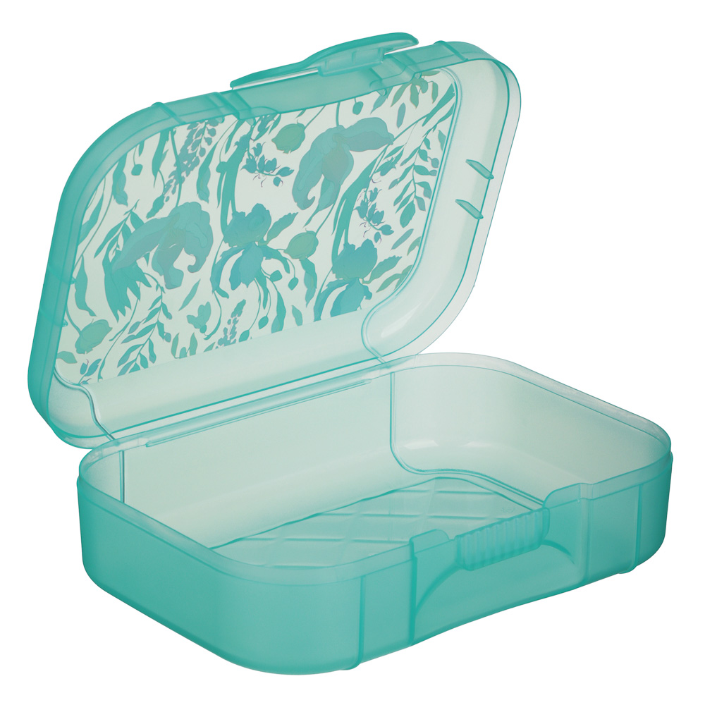 Ботаника Ланч-бокс 0,85л (18х12,5х5,5см), пластик, в ассортименте - #7