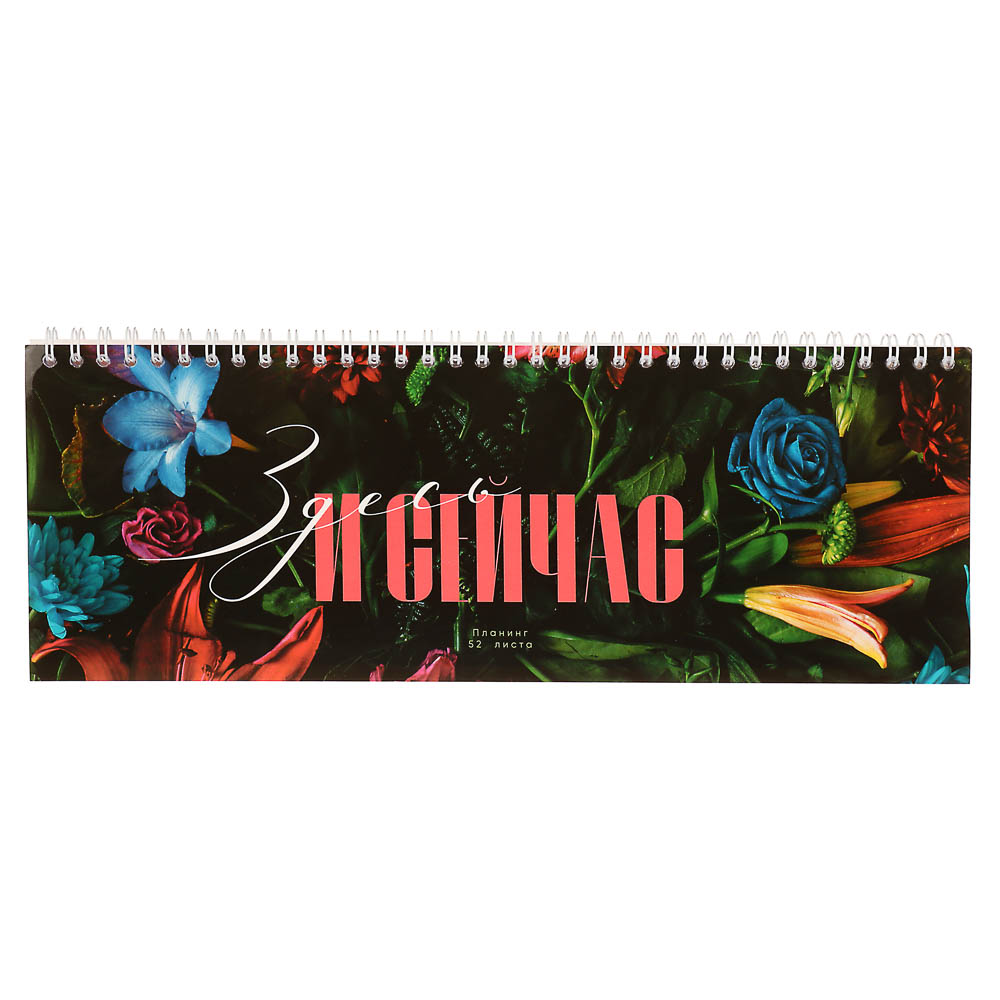 Планинг недатированный на гребне ClipStudio, размер 285х100, 52 листа - #2