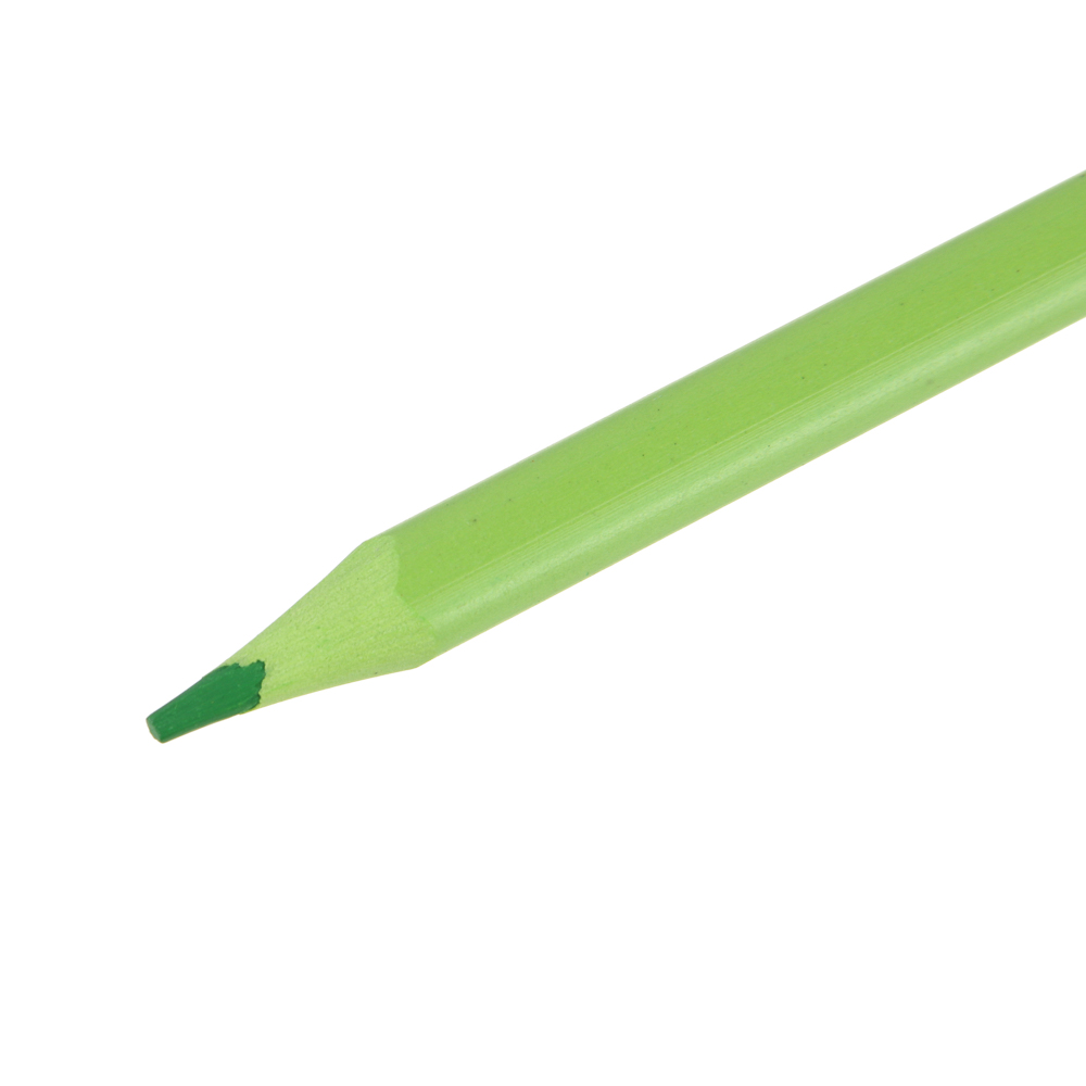 FLOMIK Набор цветных пластиковых стираемых карандашей, ластик, прокрашенный трехгр. корпус, 12 цв. - #4