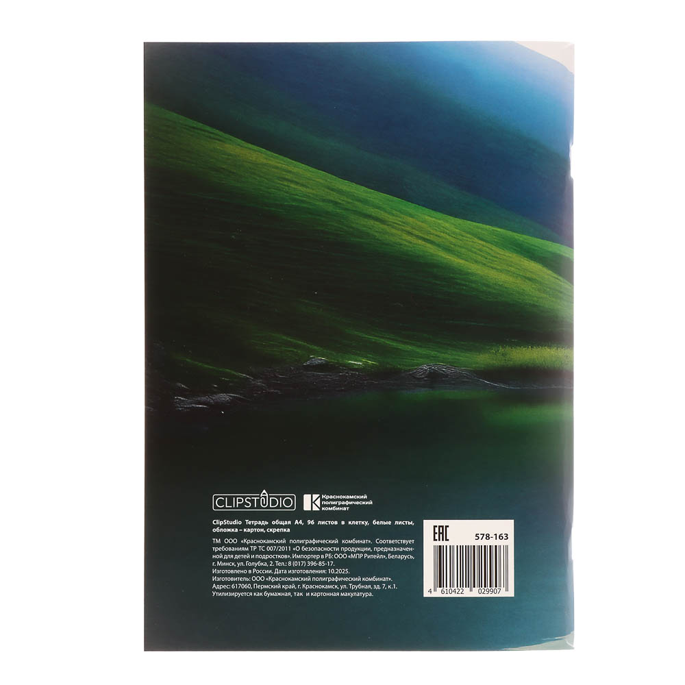 ClipStudio Тетрадь общая А4, 96 листов, в клетку, БЕЛЫЕ ЛИСТЫ, обложка картон, скрепка, 4 диз - #8