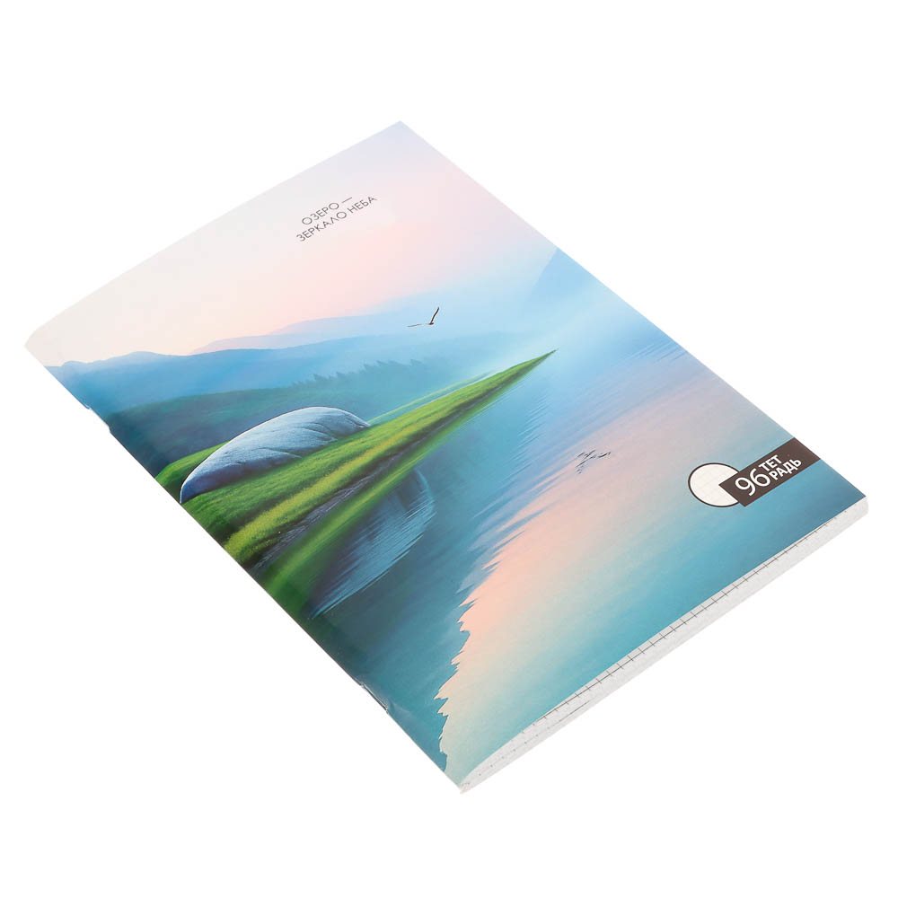 ClipStudio Тетрадь общая А4, 96 листов, в клетку, БЕЛЫЕ ЛИСТЫ, обложка картон, скрепка, 4 диз - #7