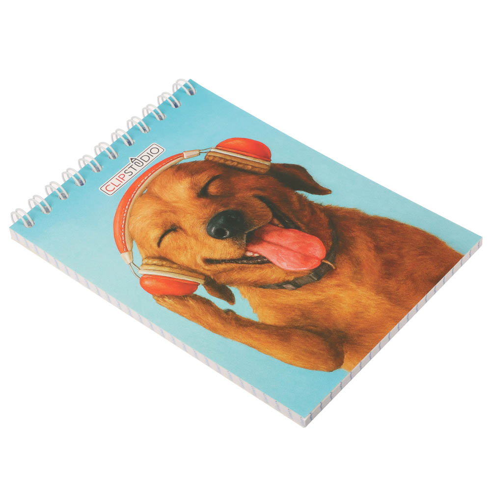 Блокнот А6, 40 листов, офсет, обложка картон, спираль, в клетку, 9 диз. - #18