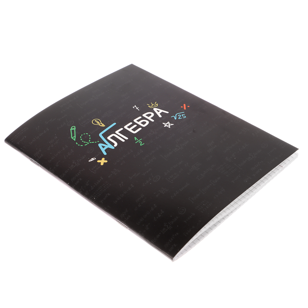 ClipStudio Тетрадь 48л. "Предметная", БЕЛЫЕ ЛИСТЫ, обл.картон, скрепка, 7 видов, справ.мат-л - #21