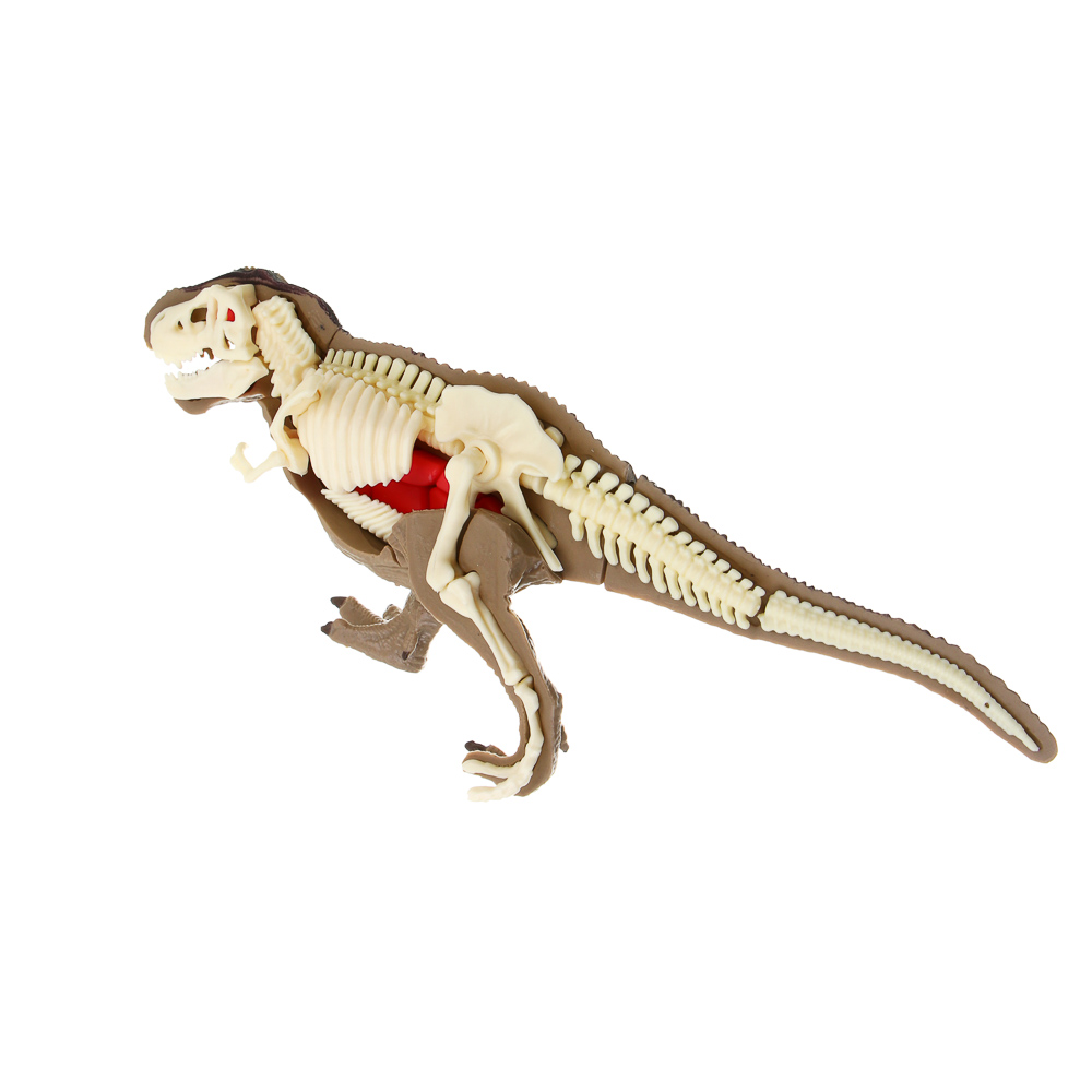 ХОББИХИТ Набор для творчества "Скелет Динозавра" 16х5х16см, 3 дизайна - #10