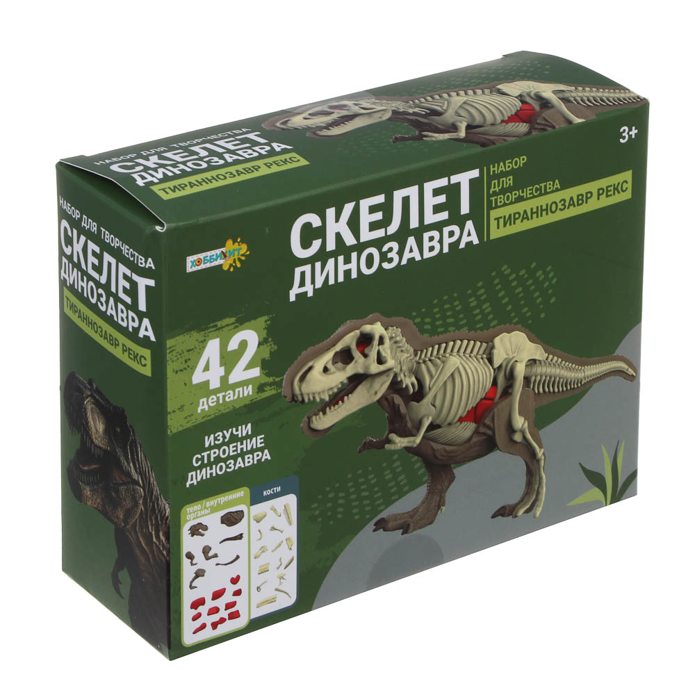 ХОББИХИТ Набор для творчества "Скелет Динозавра" 16х5х16см, 3 дизайна - #13
