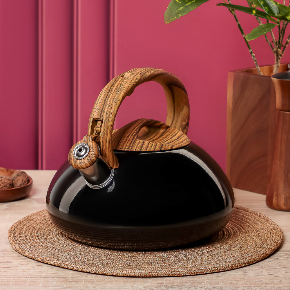 VETTA Чайник стальной 2,8л "Лоренцо", индукция - #13