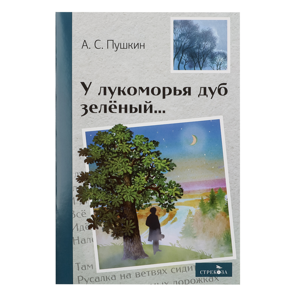 Книжка "Внеклассное чтение", мягкий переплет, 13,8х21см, 60-80 стр., 5 дизайнов - #14