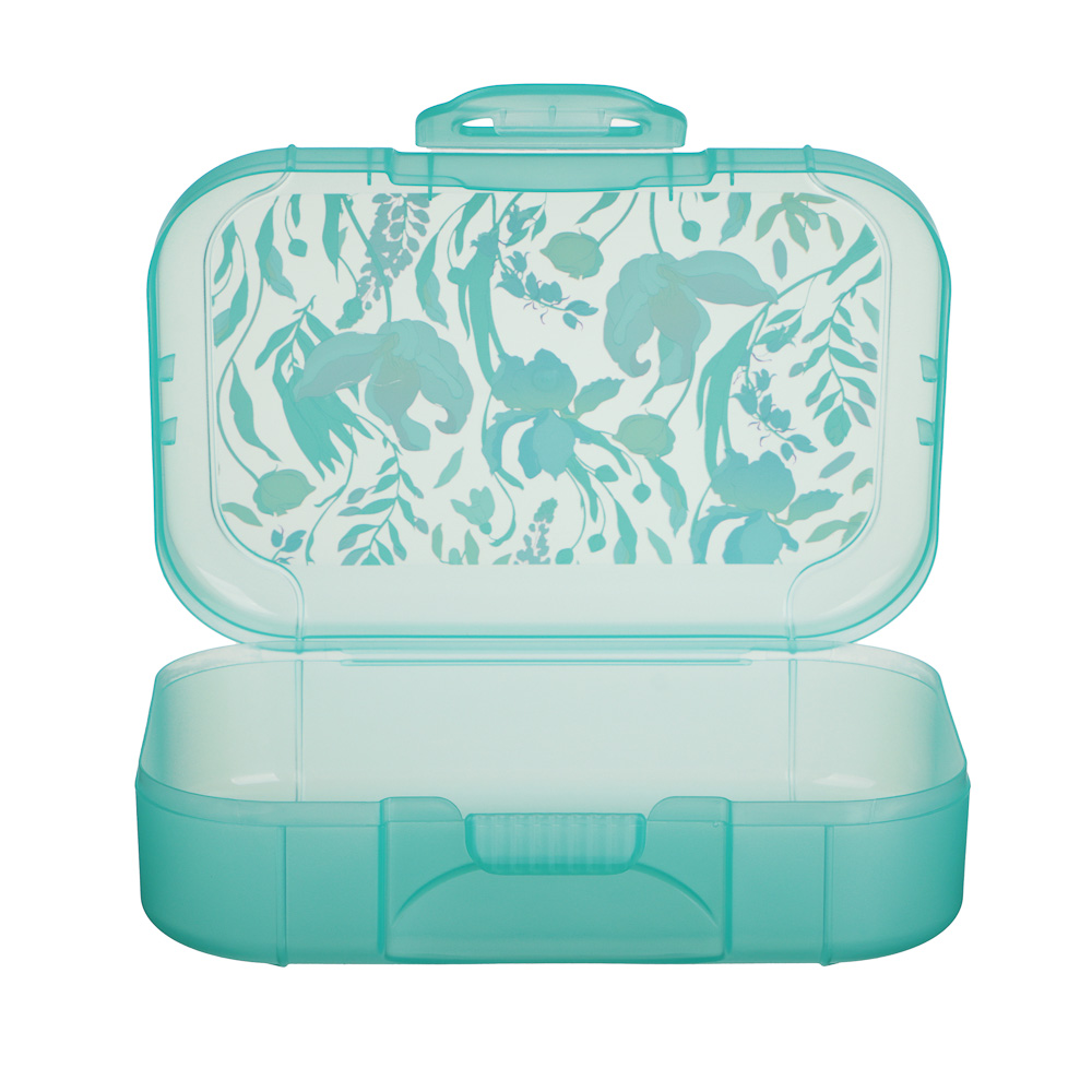 Ботаника Ланч-бокс 0,85л (18х12,5х5,5см), пластик, в ассортименте - #6