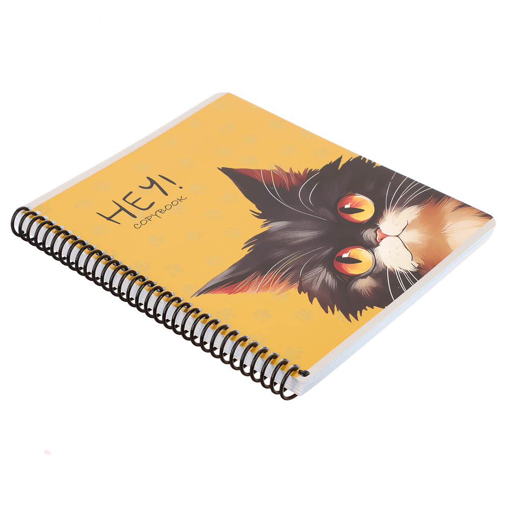 Тетрадь общая, 96 листов, в клетку, БЕЛЫЕ ЛИСТЫ, обл.мел. картон, спираль, микс - #14