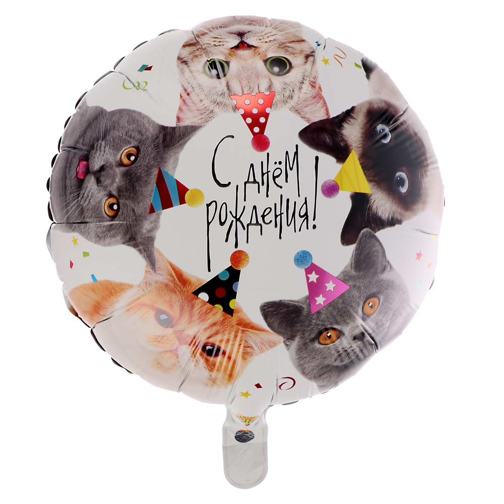 Шар фольгированный тм Веселая Затея РУС ДР Котики фотографичные - #1