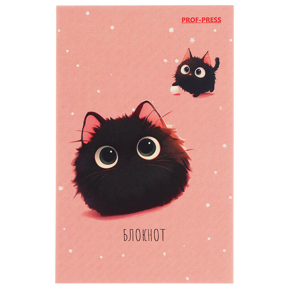 Блокнот А7, 48л, офсет, обложка картон, склейка, в ассортименте - #9